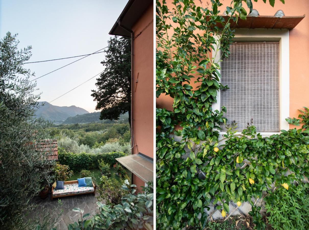Casetta Di Butia, Mimosa Apartment Borgo a Mozzano Eksteriør bilde