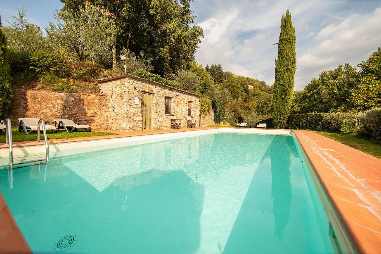 Casetta Di Butia, Mimosa Apartment Borgo a Mozzano Eksteriør bilde