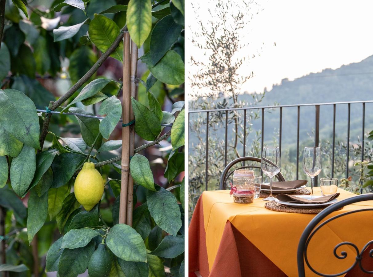 Casetta Di Butia, Mimosa Apartment Borgo a Mozzano Eksteriør bilde