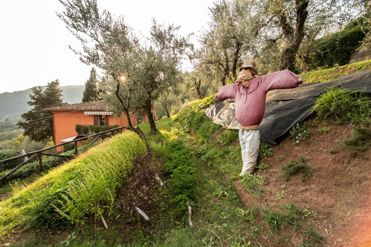 Casetta Di Butia, Mimosa Apartment Borgo a Mozzano Eksteriør bilde