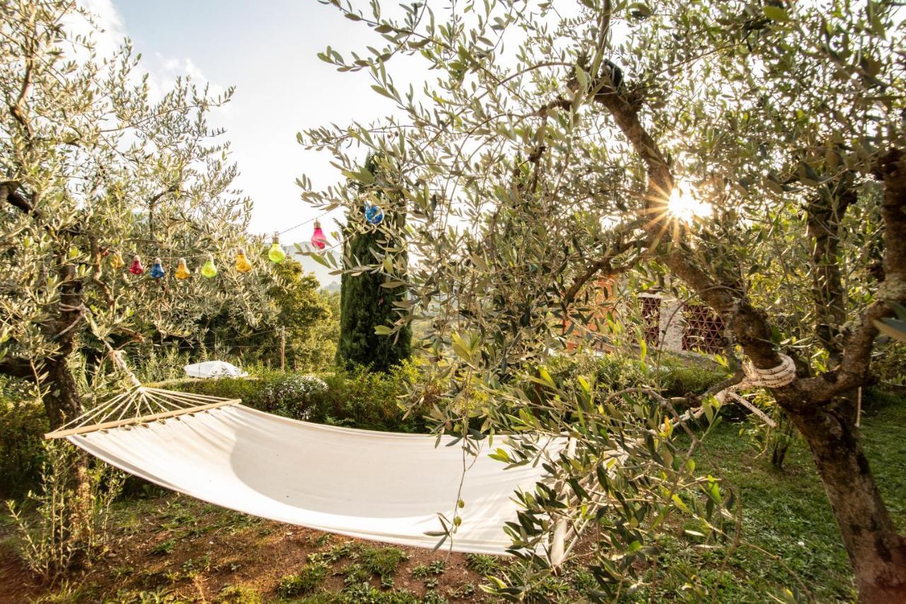 Casetta Di Butia, Mimosa Apartment Borgo a Mozzano Eksteriør bilde