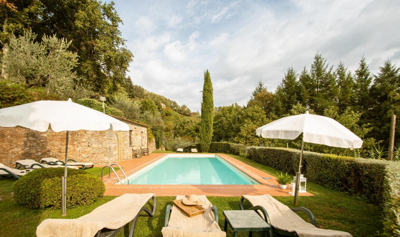 Casetta Di Butia, Mimosa Apartment Borgo a Mozzano Eksteriør bilde