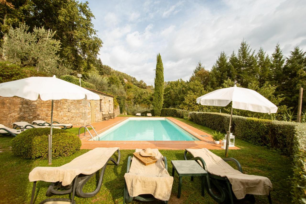 Casetta Di Butia, Mimosa Apartment Borgo a Mozzano Eksteriør bilde