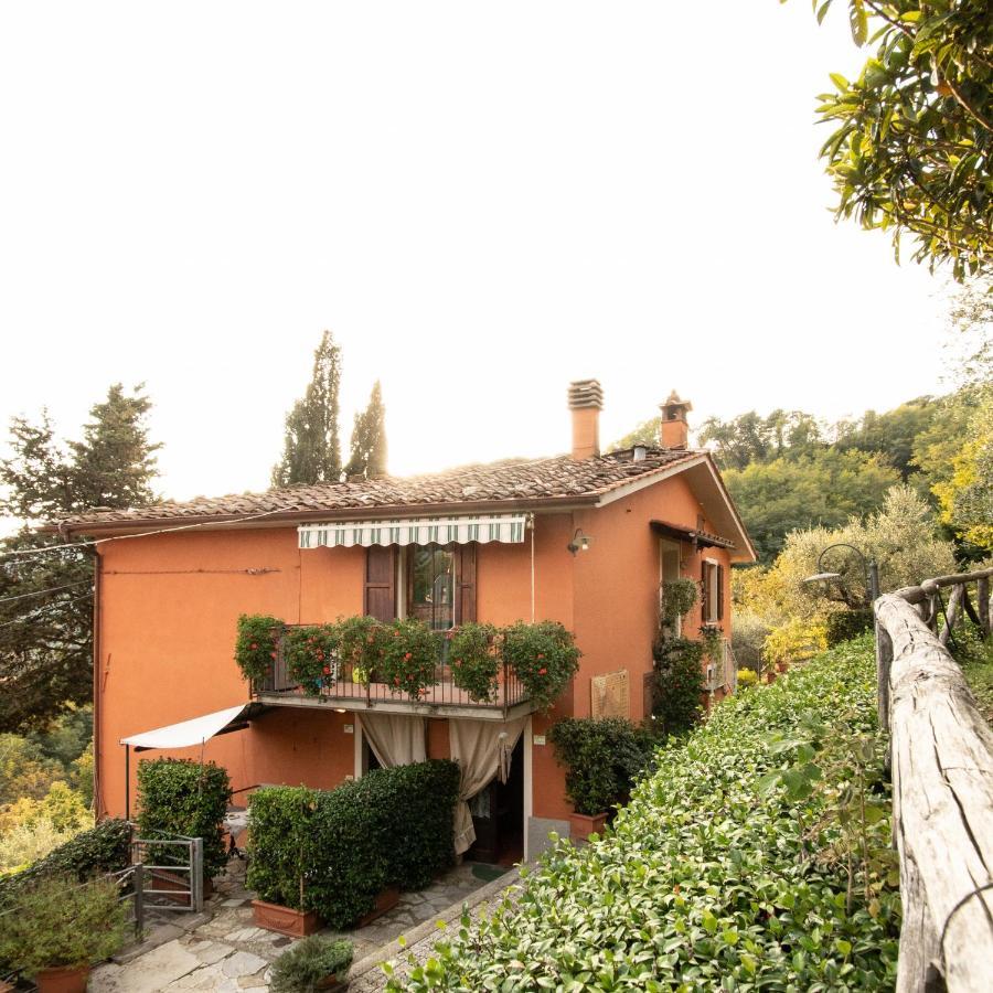 Casetta Di Butia, Mimosa Apartment Borgo a Mozzano Eksteriør bilde
