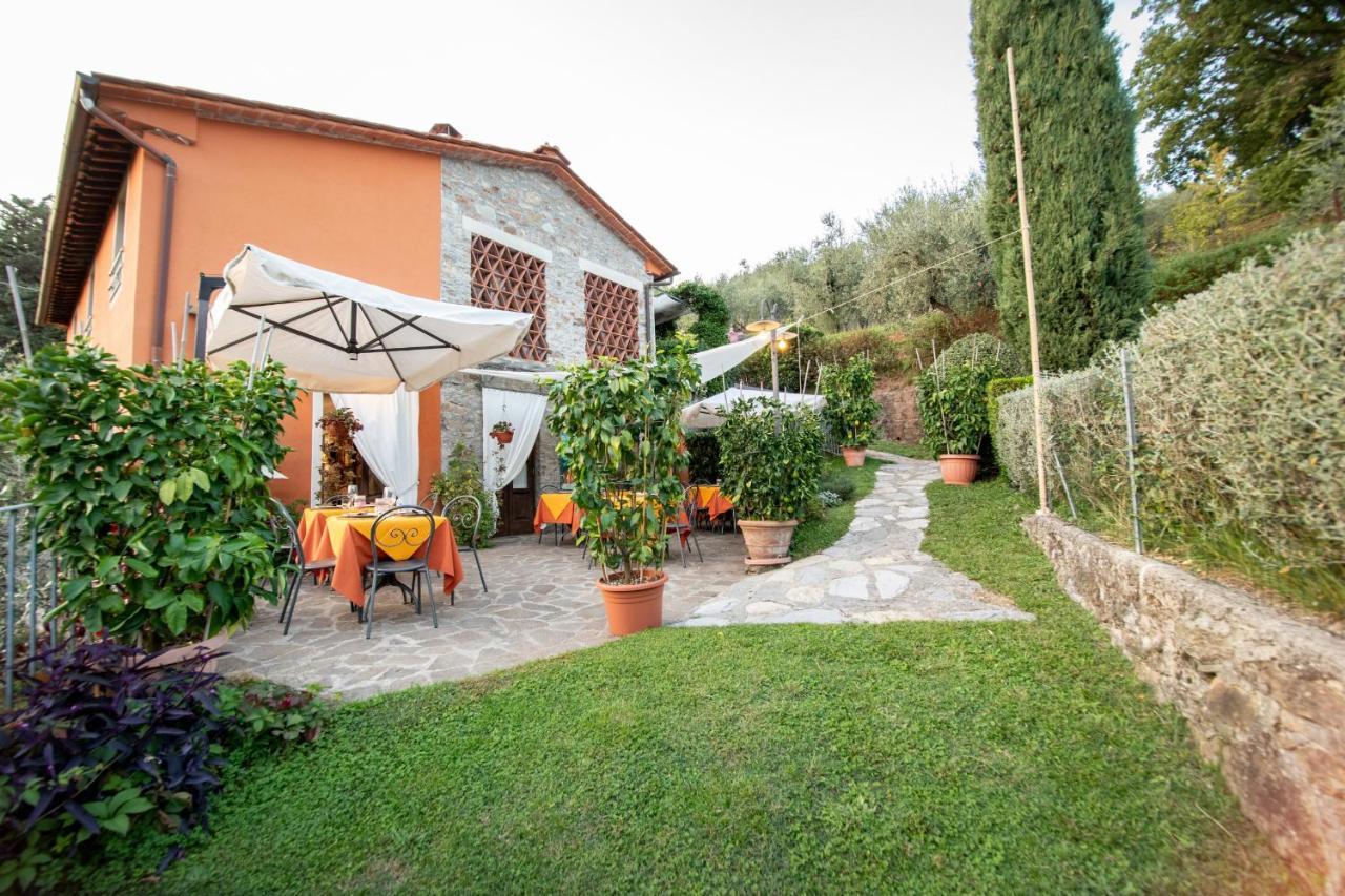 Casetta Di Butia, Mimosa Apartment Borgo a Mozzano Eksteriør bilde