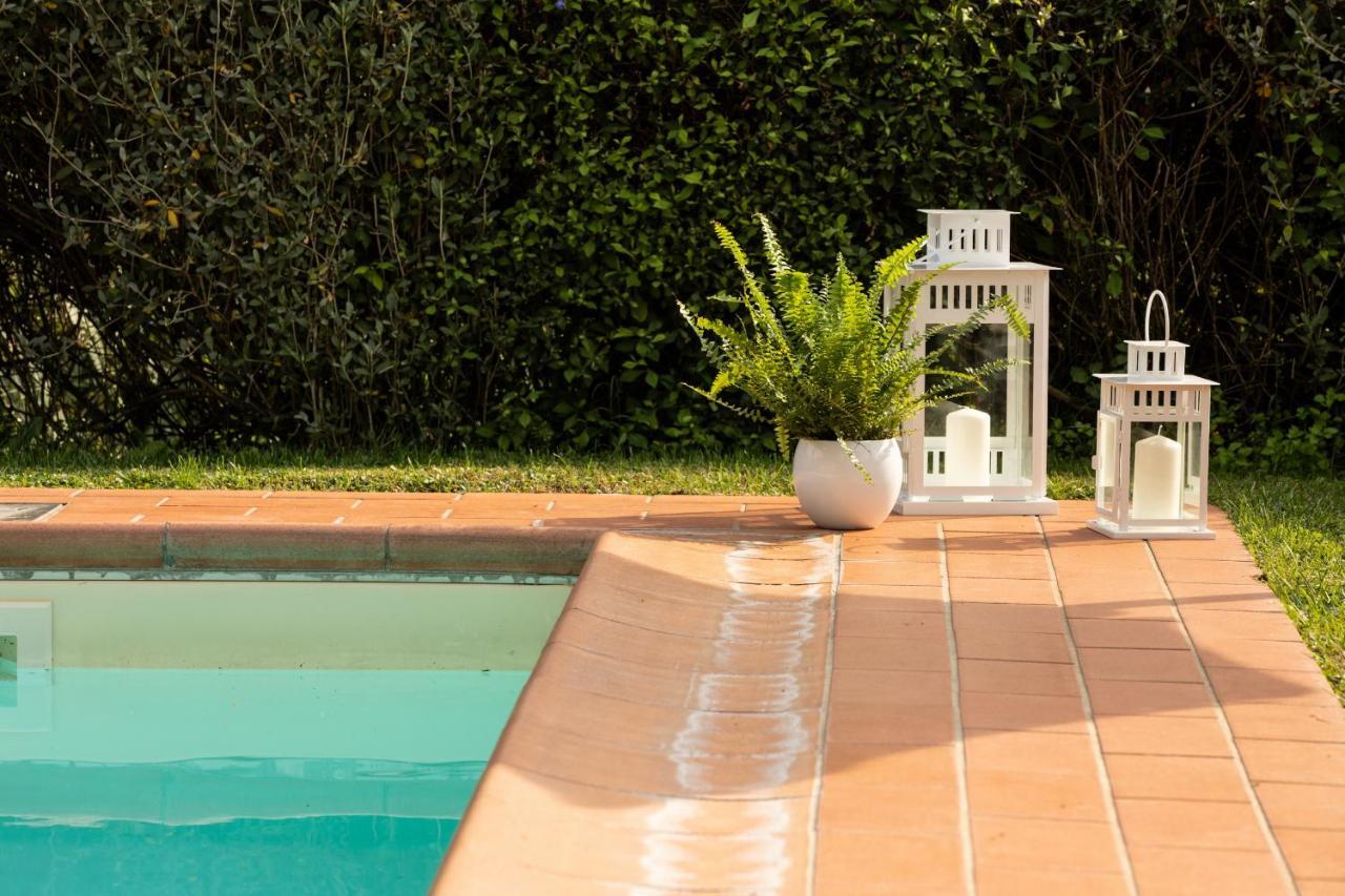 Casetta Di Butia, Mimosa Apartment Borgo a Mozzano Eksteriør bilde